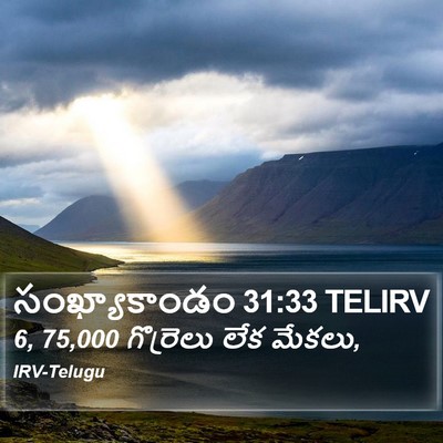 సంఖ్యాకాండం 31:33 TELIRV Bible Verse Image