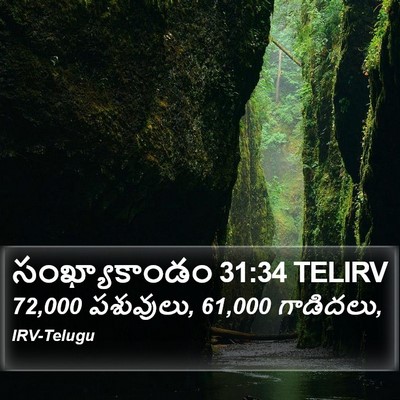 సంఖ్యాకాండం 31:34 TELIRV Bible Verse Image