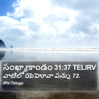 సంఖ్యాకాండం 31:37 TELIRV Bible Verse Image