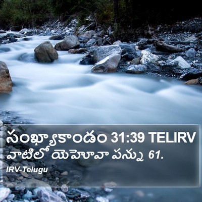 సంఖ్యాకాండం 31:39 TELIRV Bible Verse Image