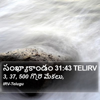 సంఖ్యాకాండం 31:43 TELIRV Bible Verse Image