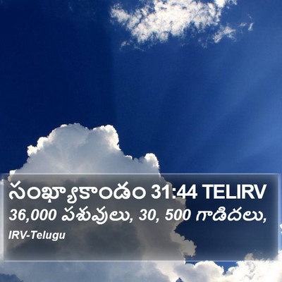సంఖ్యాకాండం 31:44 TELIRV Bible Verse Image
