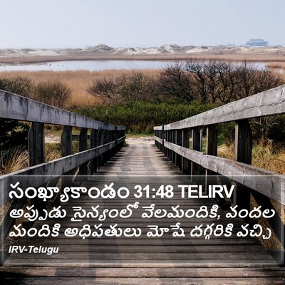 సంఖ్యాకాండం 31:48 TELIRV Bible Verse Image