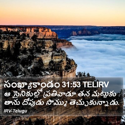 సంఖ్యాకాండం 31:53 TELIRV Bible Verse Image