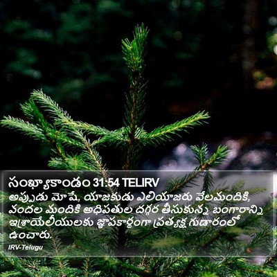 సంఖ్యాకాండం 31:54 TELIRV Bible Verse Image