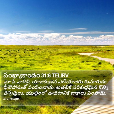 సంఖ్యాకాండం 31:6 TELIRV Bible Verse Image