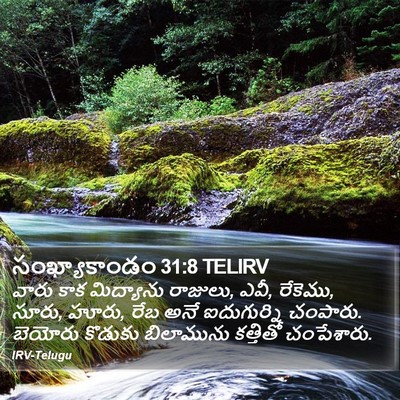 సంఖ్యాకాండం 31:8 TELIRV Bible Verse Image