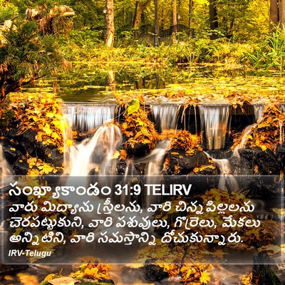 సంఖ్యాకాండం 31:9 TELIRV Bible Verse Image