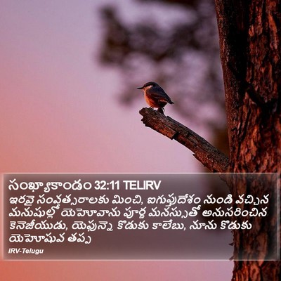 సంఖ్యాకాండం 32:11 TELIRV Bible Verse Image