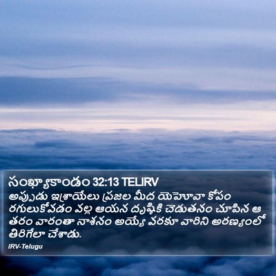 సంఖ్యాకాండం 32:13 TELIRV Bible Verse Image