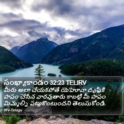 సంఖ్యాకాండం 32:23 TELIRV Bible Verse Image