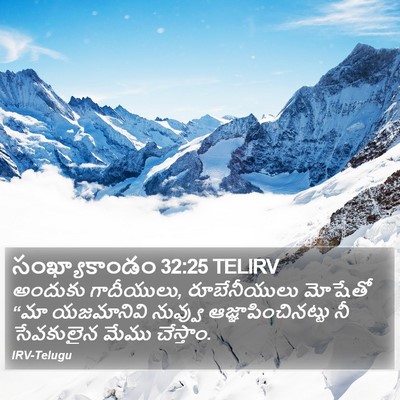 సంఖ్యాకాండం 32:25 TELIRV Bible Verse Image