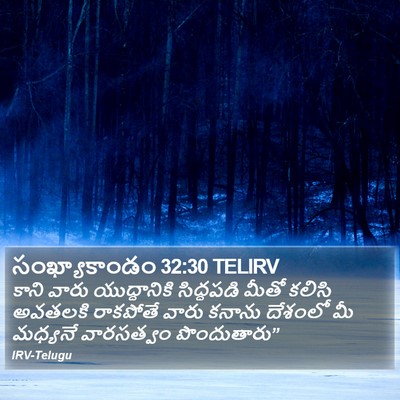 సంఖ్యాకాండం 32:30 TELIRV Bible Verse Image