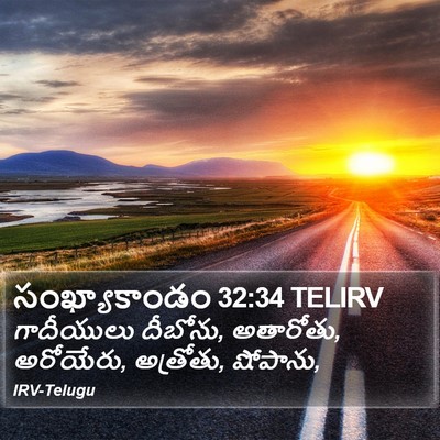 సంఖ్యాకాండం 32:34 TELIRV Bible Verse Image