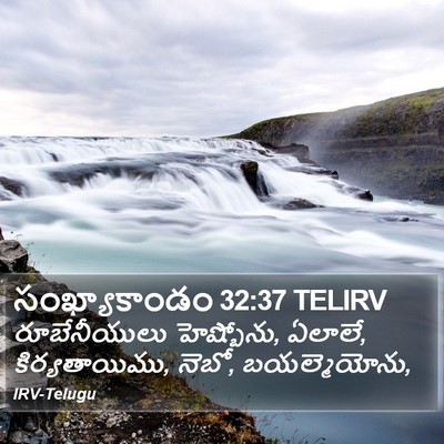 సంఖ్యాకాండం 32:37 TELIRV Bible Verse Image