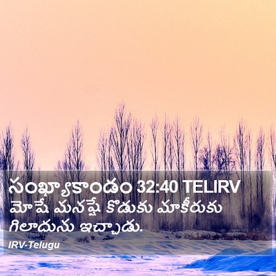 సంఖ్యాకాండం 32:40 TELIRV Bible Verse Image