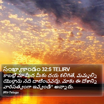 సంఖ్యాకాండం 32:5 TELIRV Bible Verse Image