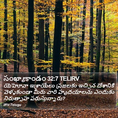 సంఖ్యాకాండం 32:7 TELIRV Bible Verse Image