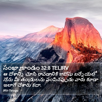 సంఖ్యాకాండం 32:8 TELIRV Bible Verse Image