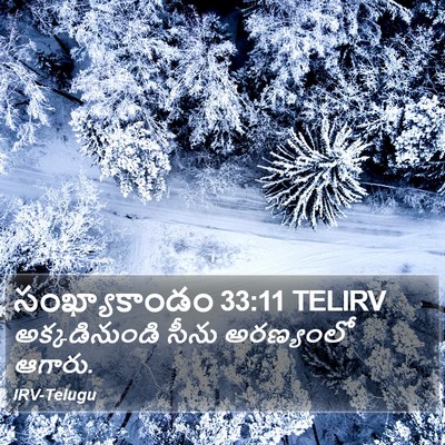 సంఖ్యాకాండం 33:11 TELIRV Bible Verse Image