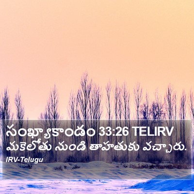 సంఖ్యాకాండం 33:26 TELIRV Bible Verse Image