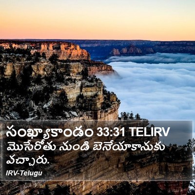 సంఖ్యాకాండం 33:31 TELIRV Bible Verse Image