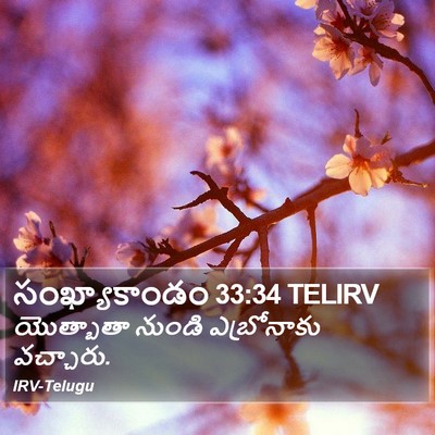 సంఖ్యాకాండం 33:34 TELIRV Bible Verse Image
