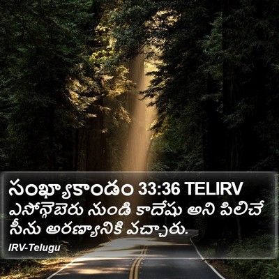 సంఖ్యాకాండం 33:36 TELIRV Bible Verse Image