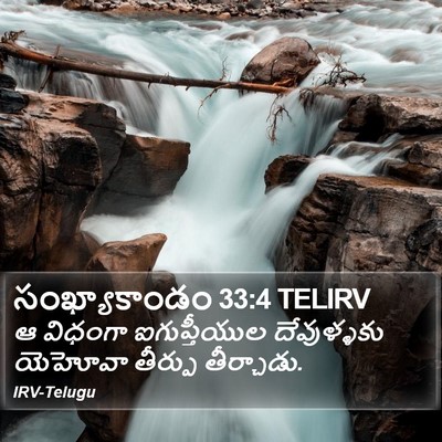 సంఖ్యాకాండం 33:4 TELIRV Bible Verse Image