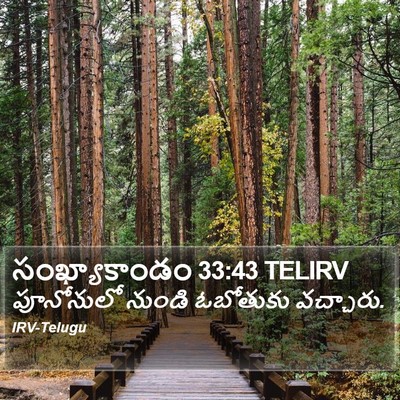 సంఖ్యాకాండం 33:43 TELIRV Bible Verse Image
