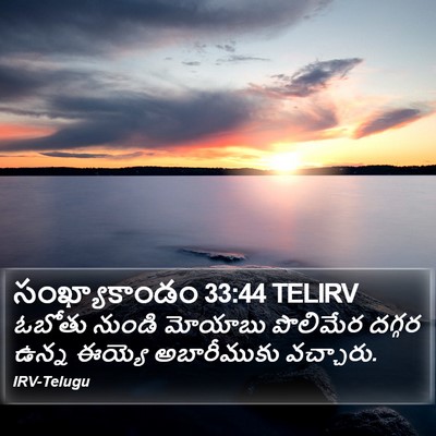 సంఖ్యాకాండం 33:44 TELIRV Bible Verse Image