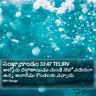 సంఖ్యాకాండం 33:47 TELIRV Bible Verse Image