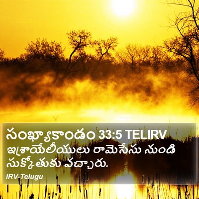 సంఖ్యాకాండం 33:5 TELIRV Bible Verse Image