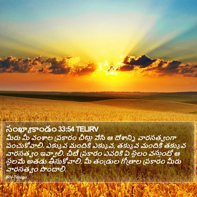 సంఖ్యాకాండం 33:54 TELIRV Bible Verse Image
