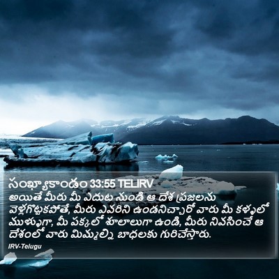 సంఖ్యాకాండం 33:55 TELIRV Bible Verse Image