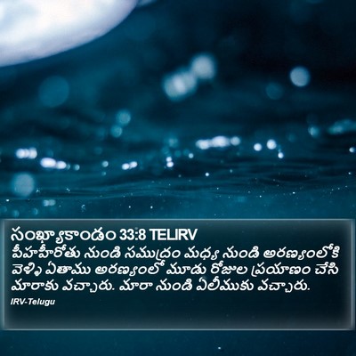 సంఖ్యాకాండం 33:8 TELIRV Bible Verse Image