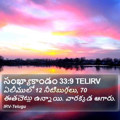 సంఖ్యాకాండం 33:9 TELIRV Bible Verse Image