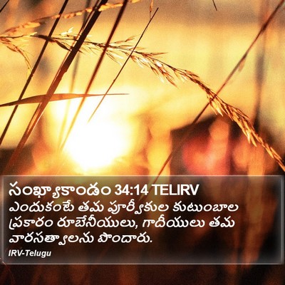 సంఖ్యాకాండం 34:14 TELIRV Bible Verse Image