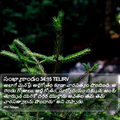 సంఖ్యాకాండం 34:15 TELIRV Bible Verse Image