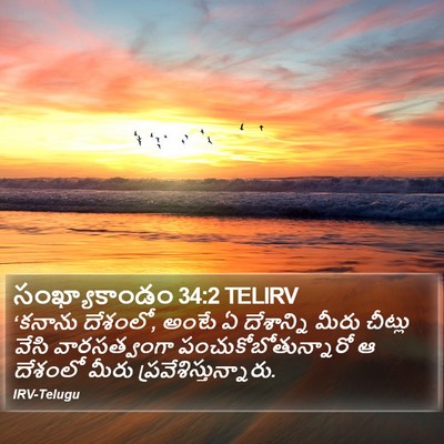 సంఖ్యాకాండం 34:2 TELIRV Bible Verse Image
