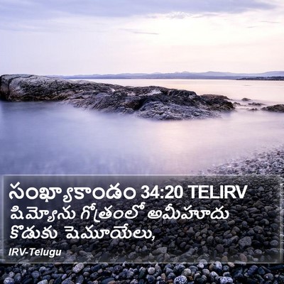 సంఖ్యాకాండం 34:20 TELIRV Bible Verse Image