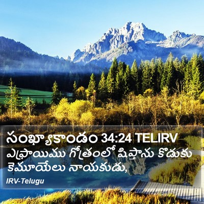 సంఖ్యాకాండం 34:24 TELIRV Bible Verse Image