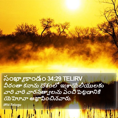 సంఖ్యాకాండం 34:29 TELIRV Bible Verse Image