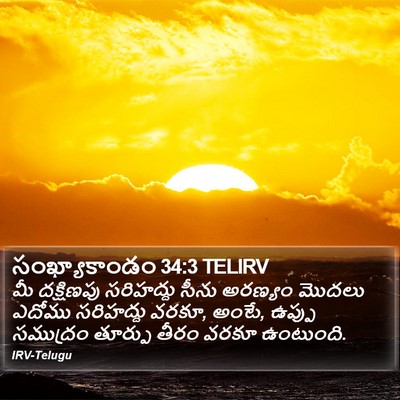సంఖ్యాకాండం 34:3 TELIRV Bible Verse Image
