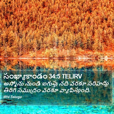 సంఖ్యాకాండం 34:5 TELIRV Bible Verse Image