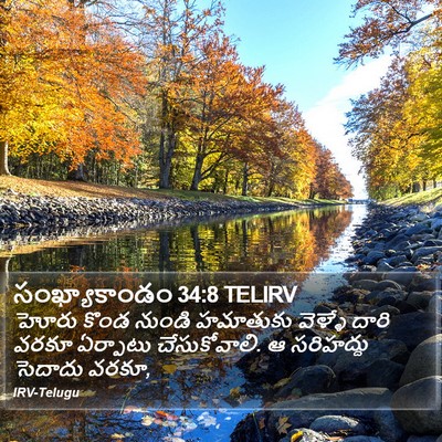సంఖ్యాకాండం 34:8 TELIRV Bible Verse Image