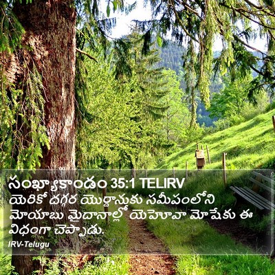 సంఖ్యాకాండం 35:1 TELIRV Bible Verse Image