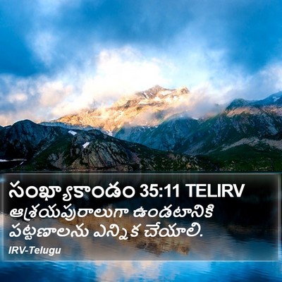 సంఖ్యాకాండం 35:11 TELIRV Bible Verse Image