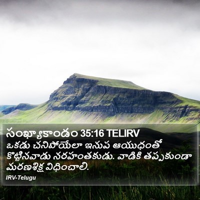 సంఖ్యాకాండం 35:16 TELIRV Bible Verse Image