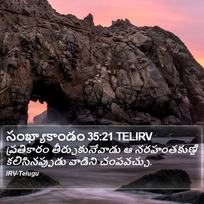 సంఖ్యాకాండం 35:21 TELIRV Bible Verse Image